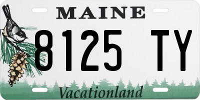 ME license plate 8125TY