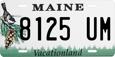 ME license plate 8125UM