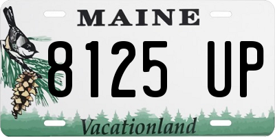 ME license plate 8125UP