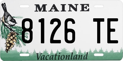 ME license plate 8126TE