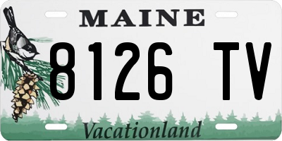 ME license plate 8126TV