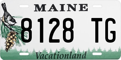 ME license plate 8128TG