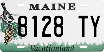 ME license plate 8128TY