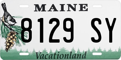ME license plate 8129SY
