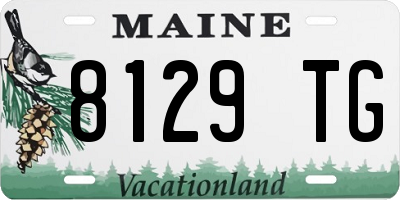 ME license plate 8129TG