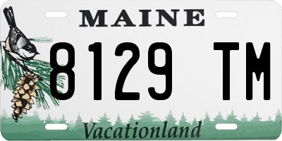 ME license plate 8129TM