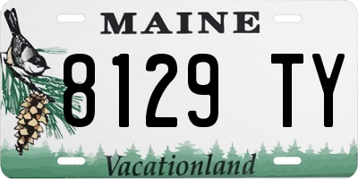ME license plate 8129TY