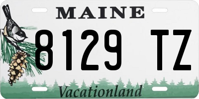 ME license plate 8129TZ