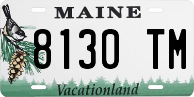 ME license plate 8130TM