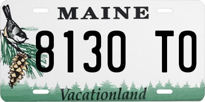 ME license plate 8130TO