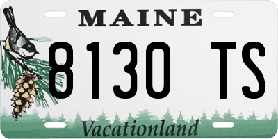 ME license plate 8130TS