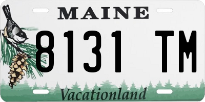 ME license plate 8131TM