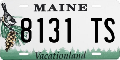 ME license plate 8131TS
