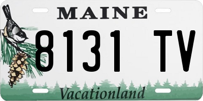 ME license plate 8131TV