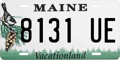 ME license plate 8131UE