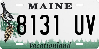 ME license plate 8131UV