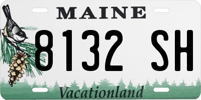 ME license plate 8132SH