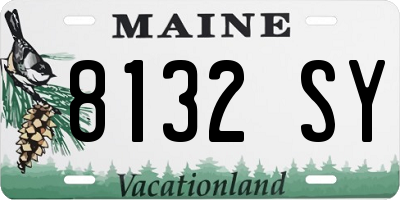 ME license plate 8132SY