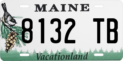 ME license plate 8132TB