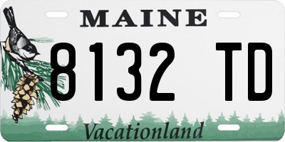 ME license plate 8132TD