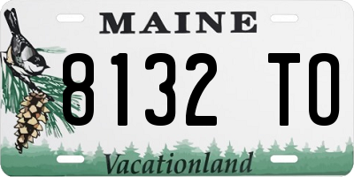 ME license plate 8132TO