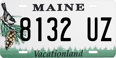 ME license plate 8132UZ