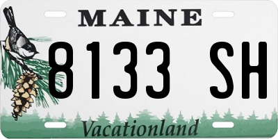ME license plate 8133SH