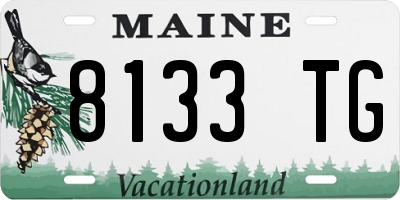 ME license plate 8133TG