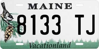 ME license plate 8133TJ