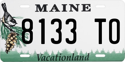 ME license plate 8133TO