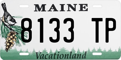 ME license plate 8133TP