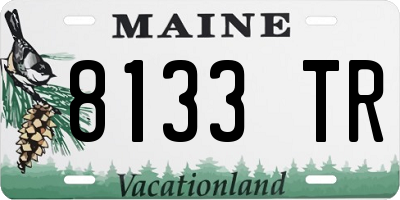 ME license plate 8133TR