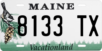 ME license plate 8133TX