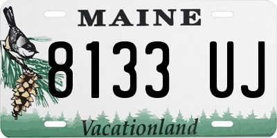 ME license plate 8133UJ