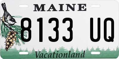 ME license plate 8133UQ