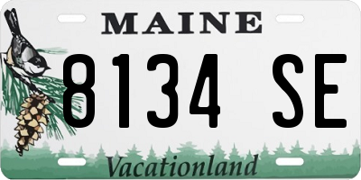 ME license plate 8134SE