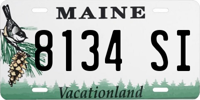 ME license plate 8134SI