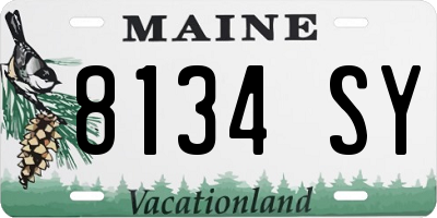 ME license plate 8134SY