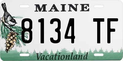 ME license plate 8134TF