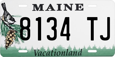 ME license plate 8134TJ