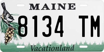 ME license plate 8134TM