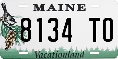 ME license plate 8134TO