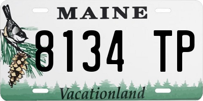 ME license plate 8134TP