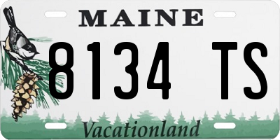 ME license plate 8134TS