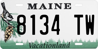 ME license plate 8134TW
