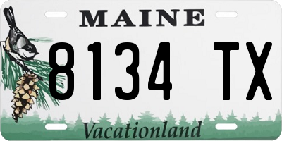 ME license plate 8134TX