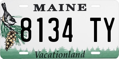ME license plate 8134TY