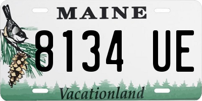 ME license plate 8134UE