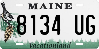 ME license plate 8134UG