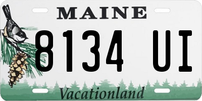 ME license plate 8134UI